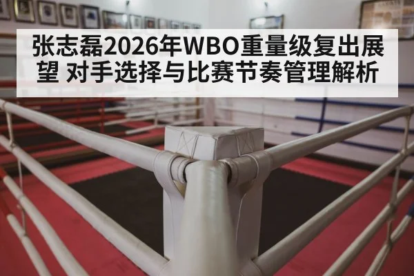 张志磊2026年WBO重量级复出展望 对手选择与比赛节奏管理解析